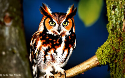 Meet the Eastern Screech Owl: The Tiny Nighttime Phantom