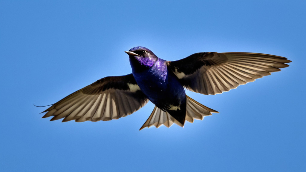 Discover the Purple Martin: The Aerial Acrobat of the Skies