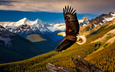 The Regal Bald Eagle: A Majestic Symbol of Freedom