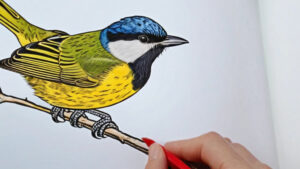 Beautifully colored page of a Yellow Warbler