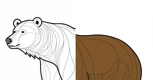 The Amazing Adaptations of the Bear