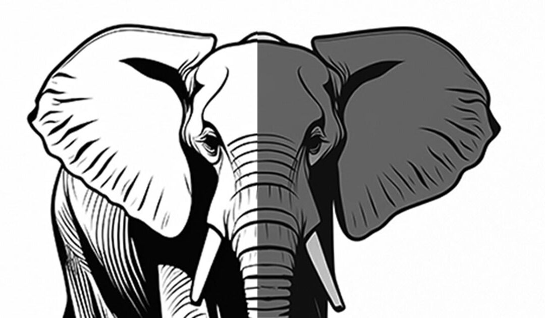 Elephants: The Gentle Giants of the Animal Kingdom and Their Incredible Abilities