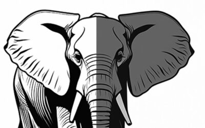 Elephants: The Gentle Giants of the Animal Kingdom and Their Incredible Abilities