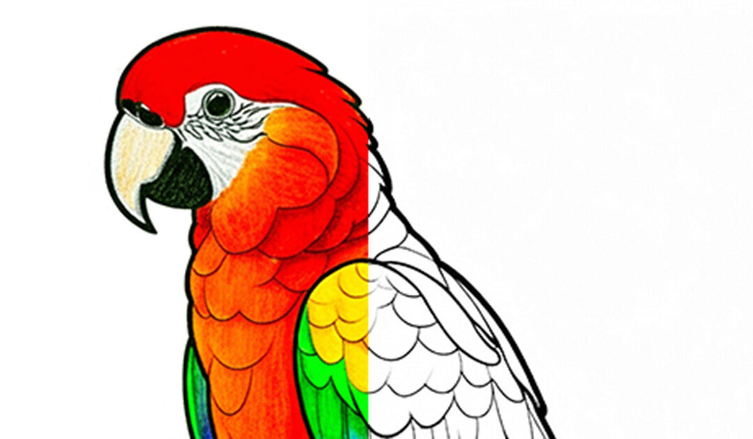 The Playful Parrots: Nature’s Colorful Copycats