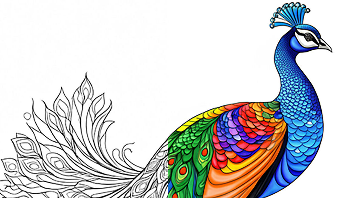 The Brilliant Beauty of the Peacock – Nature’s Living Jewel