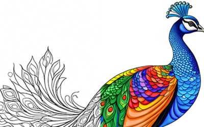 The Brilliant Beauty of the Peacock – Nature’s Living Jewel