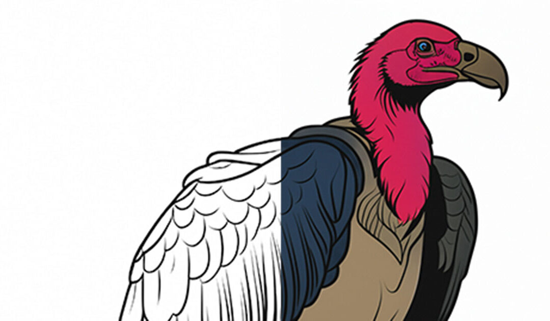 The Vital Role of Vultures: Nature’s Cleanup Crew