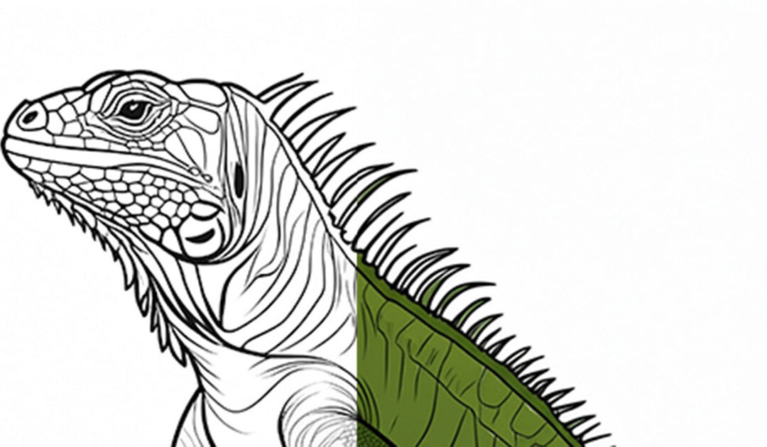 Meet the Iguana: The Coolest Lizard in the Tropics!