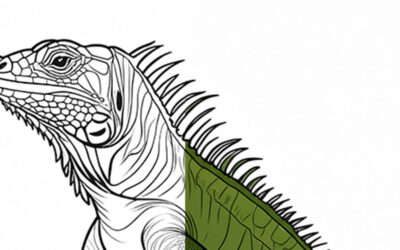Meet the Iguana: The Coolest Lizard in the Tropics!