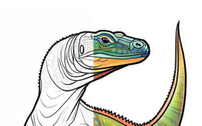 Komodo Dragons: The Kings of the Lizard World