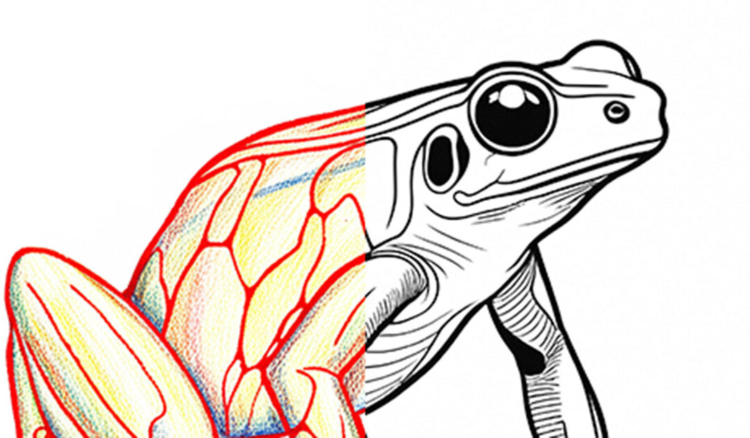 Poison Dart Frogs: Bright, Bold, and Dangerously Beautiful